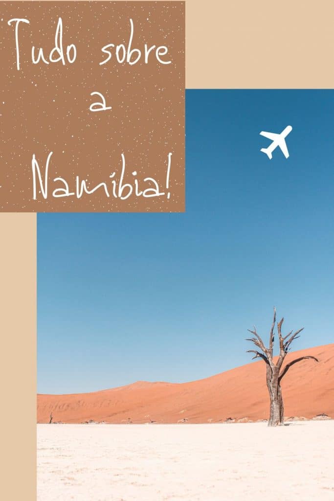 Tudo sobre a Namíbia